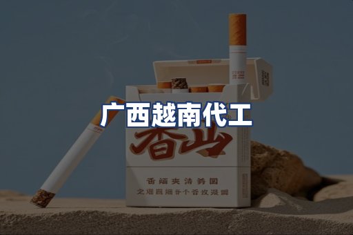 广西越南代工